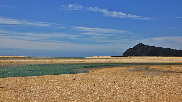 Awaroa Inlet at low tide Bay in the Abel Tasman national park, New Zealand. Awaroa Inlet. Sandy beach st low tide. nelson landscape beach sand stock pictures, royalty-free photos & images