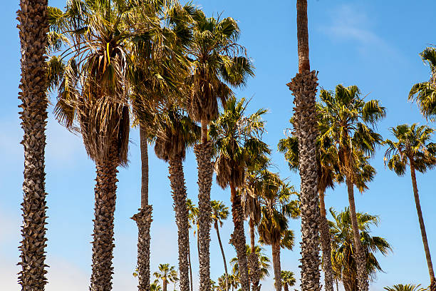 istock Santa Barbara - California 531000222