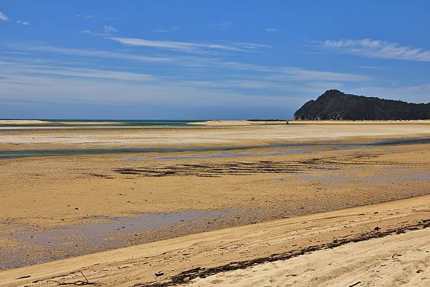 istock Low tide in the Awaroa Inlet 531000814