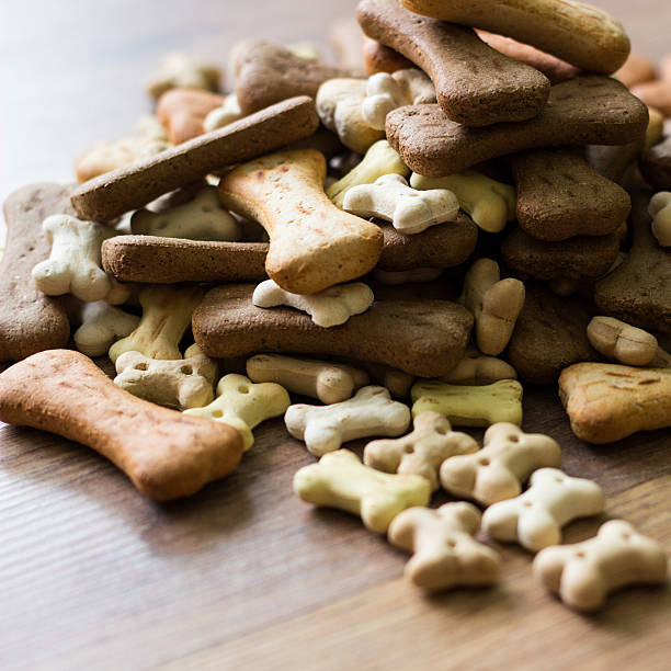 istock Treats for the dog 531001288