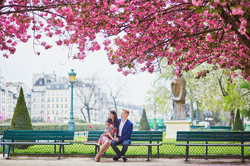 Young couple in love having a date under pink cherry blossom trees. Tourists visiting Paris at spring