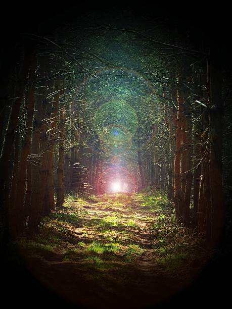 istock Road in magic dark forest, sun glare 531003374