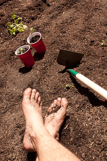 istock Gardening with feet in the dirt. 531004944