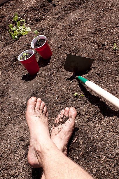 istock Gardening with feet in the dirt. 531005010