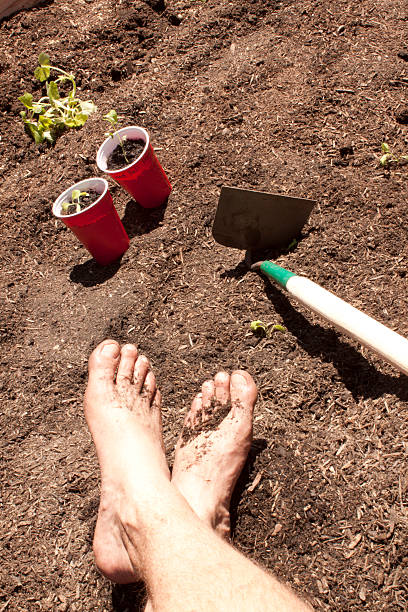 istock Gardening with feet in the dirt. 531005038