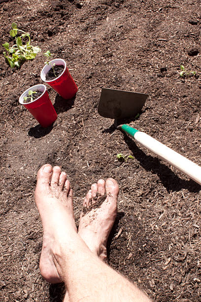 istock Gardening with feet in the dirt. 531005066