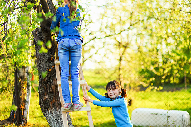 istock The child in garden. 531005624