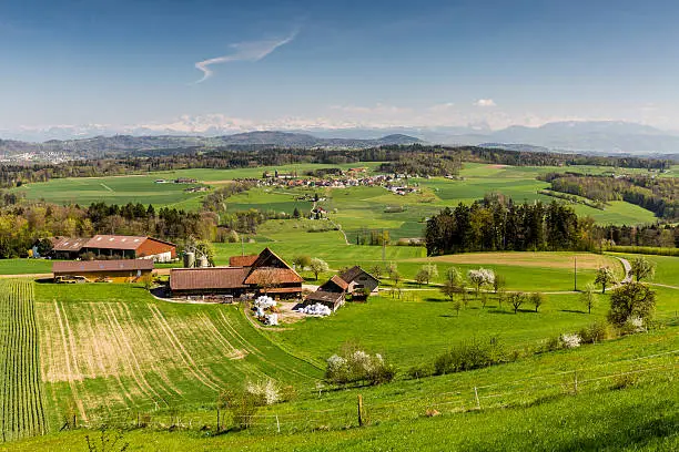Mountain Heitersberg with view to Uetliberg, near Zurich, Switzerland
