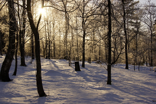 Ah, beware of the beauty of a Swedish winter forest! In the snow covered landscape the sun is truly welcome, it lingeres through the trees and it fells as beautyful as it looks.
