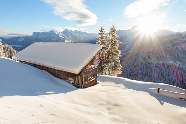 istock Ski hut in the Tyrolean Alps 531009603