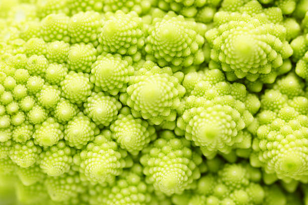 romanesco brokkoli - romanesque broccoli cauliflower cabbage stock-fotos und bilder