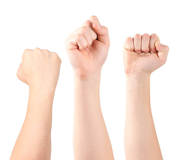Showing fist Three hands demonstrating fists, isolated, clipping path forearm stock pictures, royalty-free photos & images
