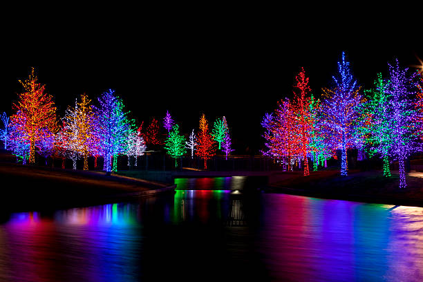 Trees wrapped in LED lights for Christmas