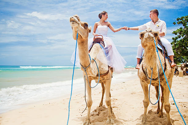 istock Bride and groom riding camels on the beach 531012719