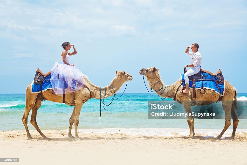 Braut und Bräutigam auf Kamele am Strand - Lizenzfrei Hochzeit Stock-Foto