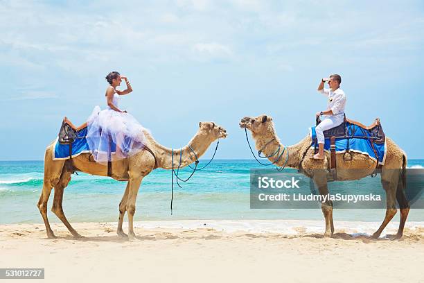 Braut Und Bräutigam Auf Kamele Am Strand Stockfoto und mehr Bilder von Hochzeit - Hochzeit, Bizarr, Kamel