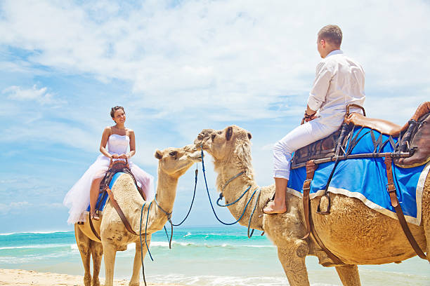 istock Bride and groom riding camels on the beach 531012731