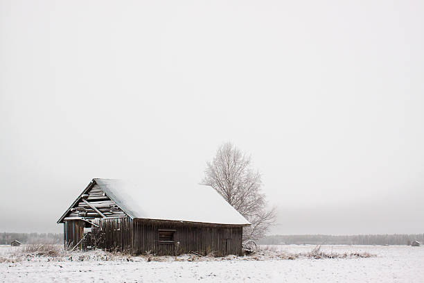 fienile casa dopo una tempesta di neve - winter finland agriculture barn foto e immagini stock