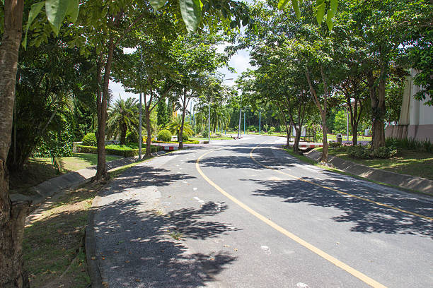 istock the road in the park 531013641