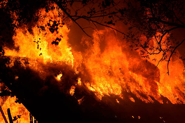 ardor en la noche - natural disaster fire office fire department fotografías e imágenes de stock