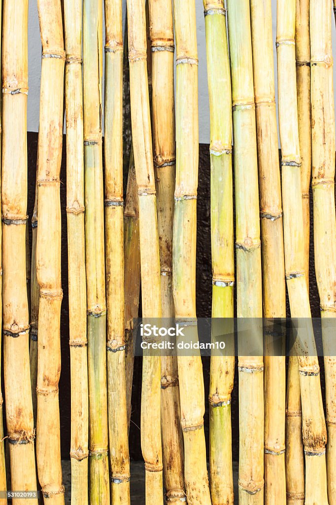 bamboo fence background green bamboo fence background 2015 Stock Photo