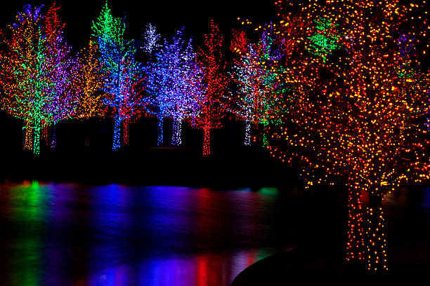istock Trees wrapped in LED lights for Christmas 531021145