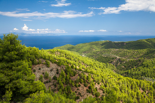 Mediterranean landscape with green pine forest, blue sea and mountains. Euboea/Evia, Greece.