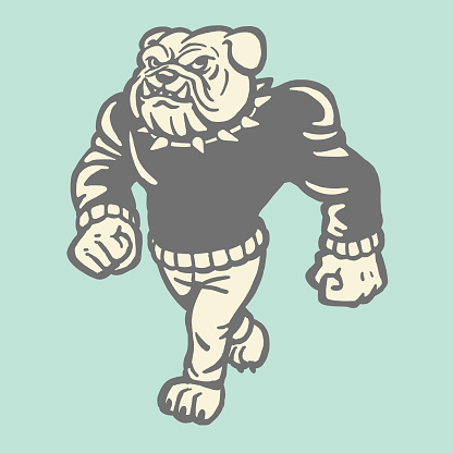 Bulldog Wearing Sweater
