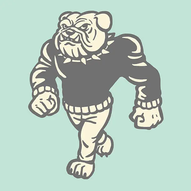 Vector illustration of Bulldog Wearing Sweater