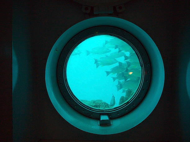 Fish in porthole School of fish in the porthole of underwater observatory submarine photos stock pictures, royalty-free photos & images