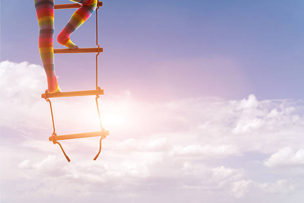 the ladder of success
