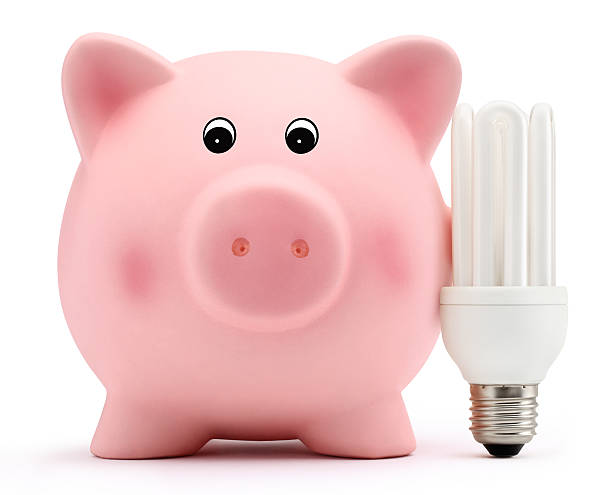istock piggy bank with energy saving lamp on white background 531025319