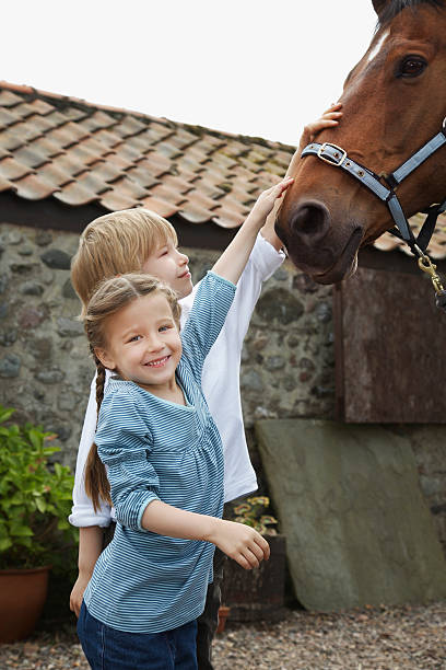 istock Siblings Stroking Horse Outside Stable 531026437