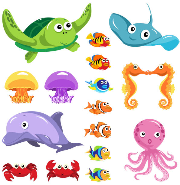 Sea Lifes Graphic Elements Sea life cartoon. aquatic mammal stock illustrations