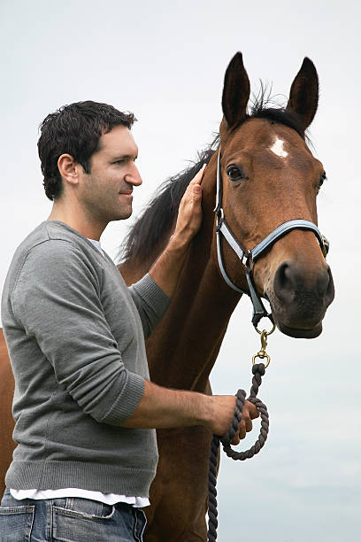 istock Man With Horse Outdoors 531036025