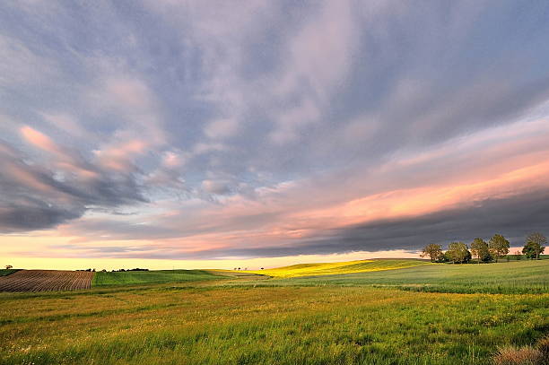 istock Lines and waves in the detail look over Moravian fields 531037613