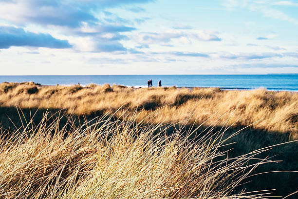 istock Coast in warm sunlight people in the distance on beach 531038425