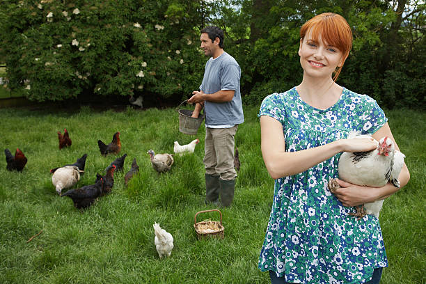 istock Couple Feeding Hens On Grassland 531038605
