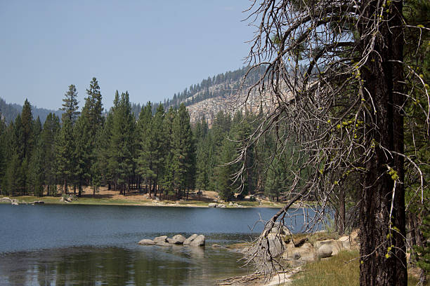 istock Antelope Lake in Northern California 531042216