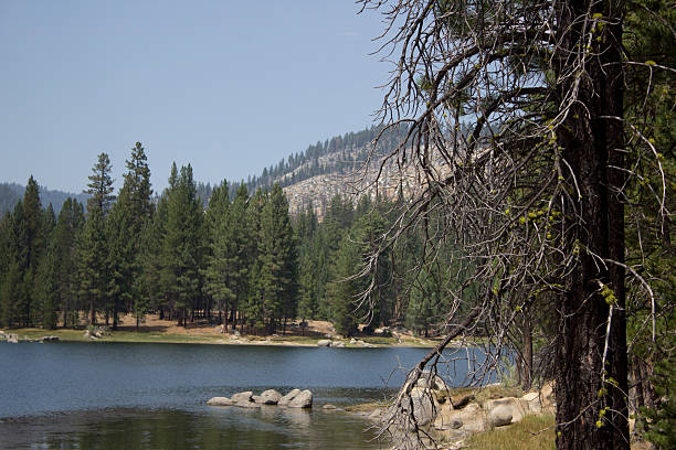 istock Antelope Lake in Northern California 531042232