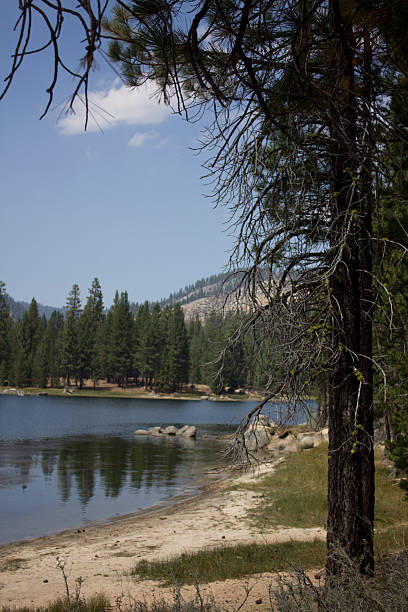 istock Antelope Lake in Northern California 531042250