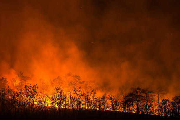 Wildfire line on hill at night stock photo
