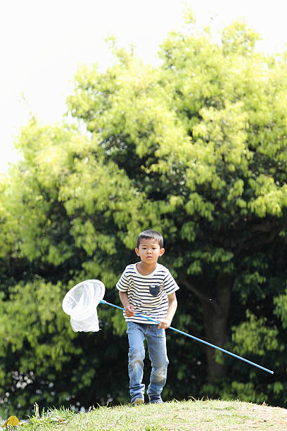 istock Japanese boy collecting insect (6 years old) 531043620