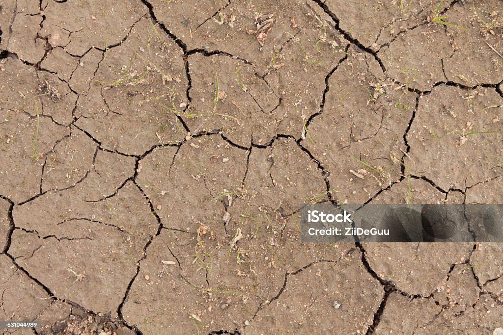 north steppe dry dirt at constructin site 2015 Stock Photo