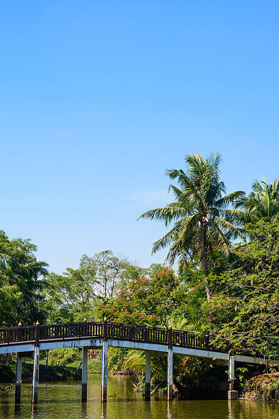 istock bridge in park.  the thailand 531045642