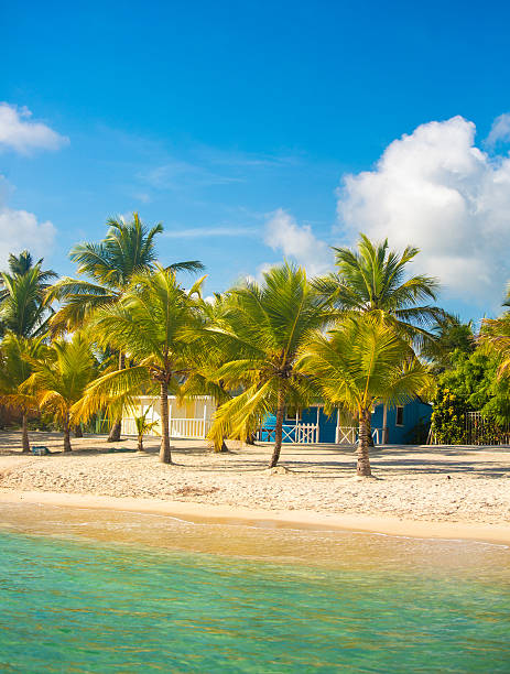 istock Caribbean little beach town 531045809