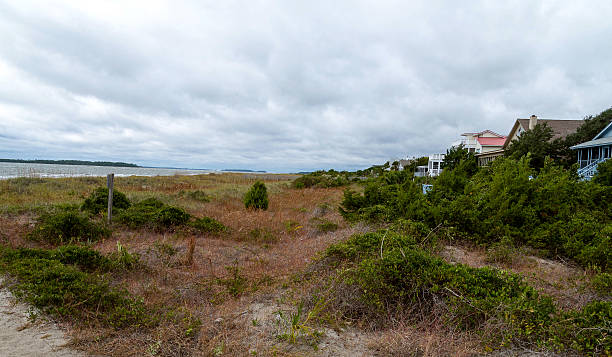 istock South Carolina coastal area 531046205