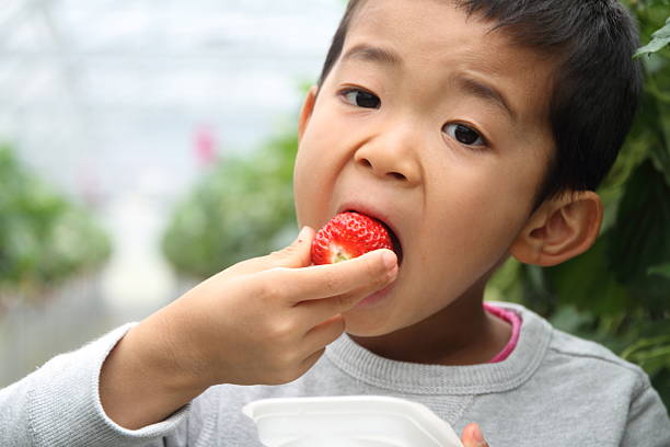 Japanese boy eating strawberry (first grade at elementary school)