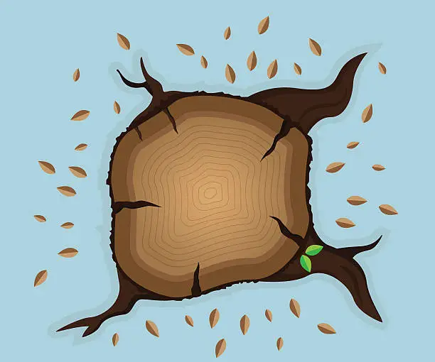 Vector illustration of top view of tree stump with dry leaves