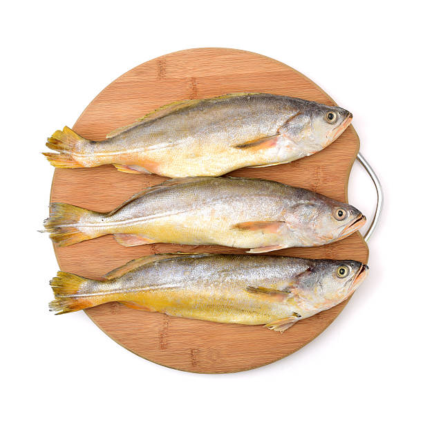 Yellow Croaker Fish Yellow Croaker Fish On White background raw croaker fish stock pictures, royalty-free photos & images
